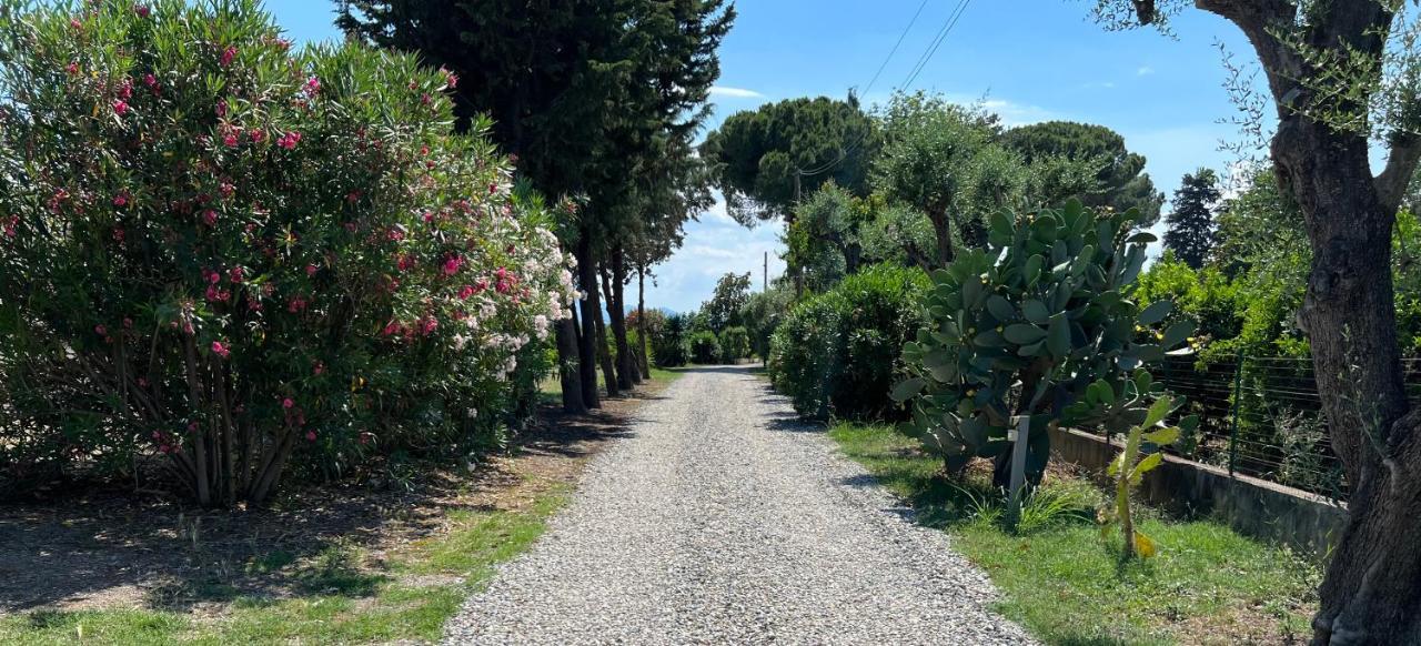 Villa Masseria Brica Rossa à Thurii Extérieur photo